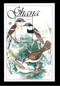 Ghana 1989 - Birds - Souvenir Stamp Sheet - Scott #1156 - MNH