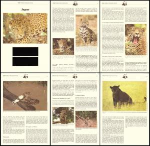 Belize WWF Jaguar Info pages