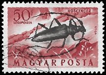 HUNGARY   #C138 USED (2)