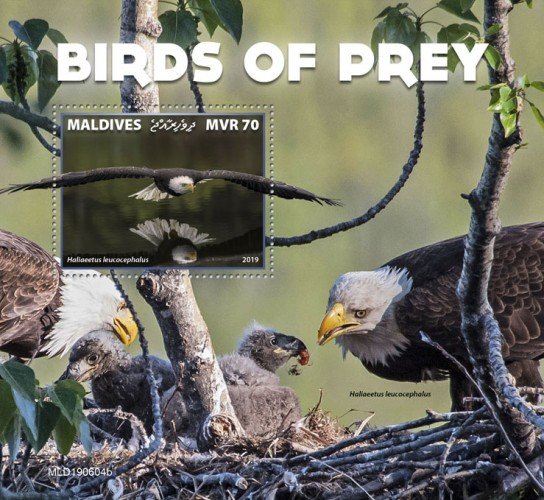 MALDIVES - 2019 - Birds of Prey - Perf Souv Sheet - MNH