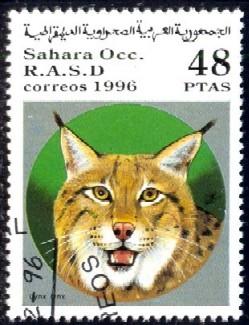 Wild Cat, Lynx Lynx, Sahara stamp Used