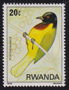 Rwanda 943 Birds of the Nyungwe Forest 1980