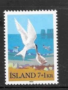 Iceland #B23 MNH Single