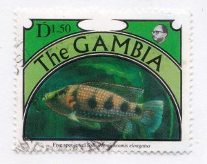 Gambia     1126        used