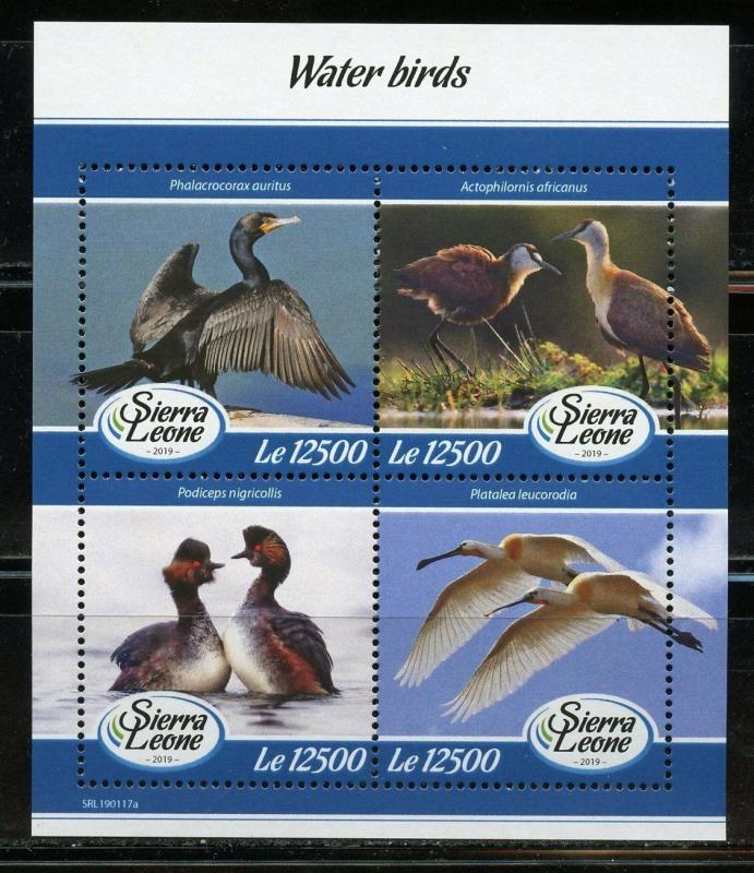 SIERRA LEONE  2019 WATER BIRDS SHEET  MINT NEVER HINGED