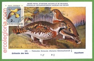 32944 - BULGARIA - MAXIMUM CARD - 1951 - FAUNA, BIRDS-