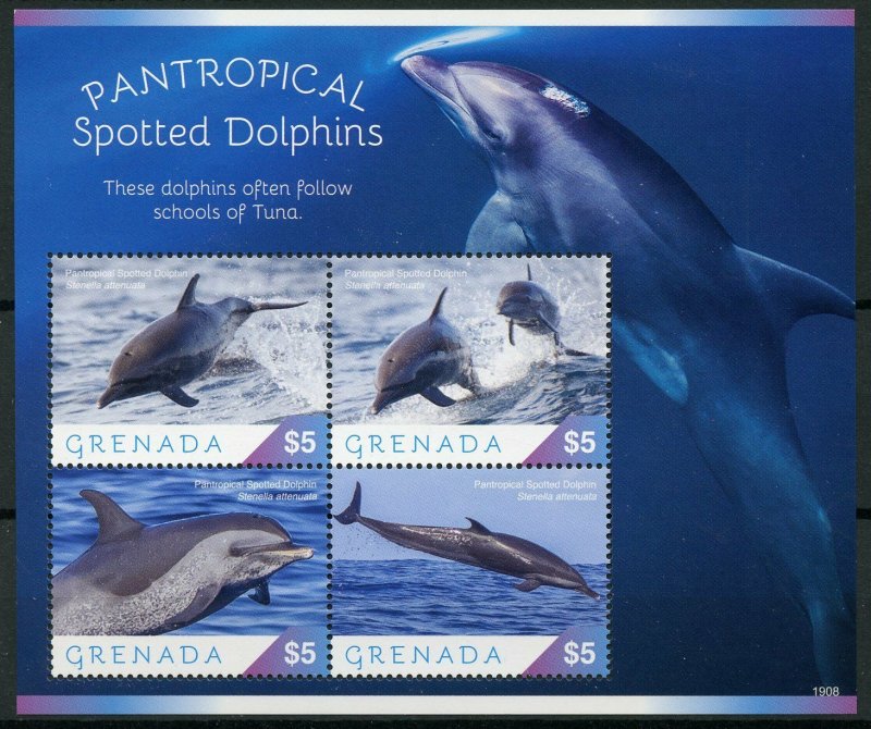 Grenada 2019 MNH Pantropical Spotted Dolphins 4v M/S Marine Animals Stamps