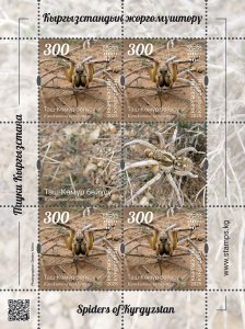 Kyrgyzstan 2025 (pre-order) - Minilist. Tash-Kumyr tarantula wolf spider.