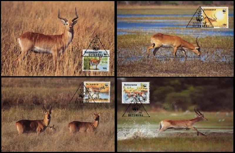 Botswana WWF Red Lechwe 4 official Maxicards