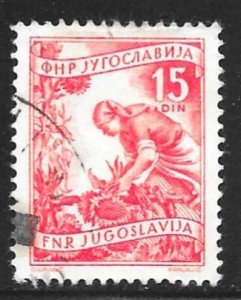 Yugoslavia 384: 15d Harvesting Sunflowers, used, F-VF