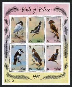 Belize SG561/6 1980 4th series Birds Set Fresh U/M