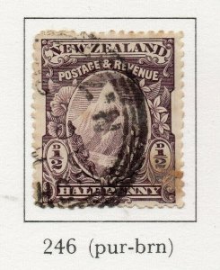 New Zealand 1898-1909 Early Issue Fine Used 1/2d. NW-167621