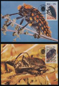 South Africa 690-3 on Maxi Cards - Insects