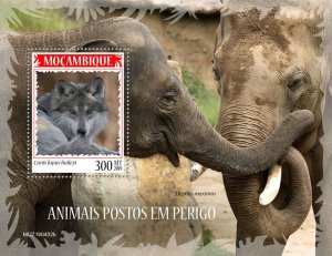 Mozambique 2019 MNH Wild Animals Stamps Endangered Species Mexican Wolf 1v S/S