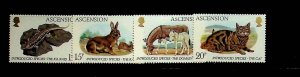 ASCENSION Sc 336-9 NH ISSUE OF 1984 - ANIMALS - (JS23)