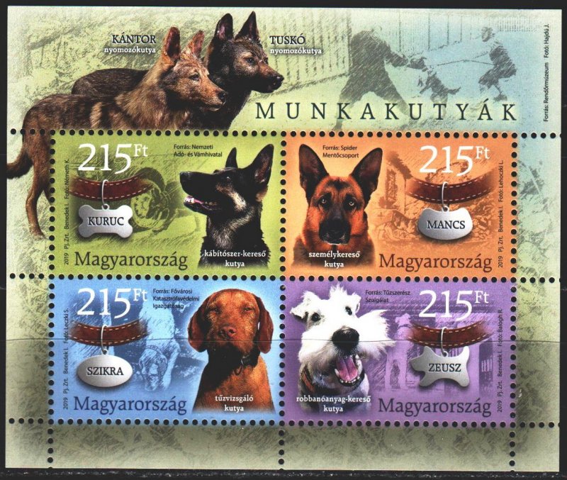 Hungary. 2019. 6058-61. Dogs. MNH.