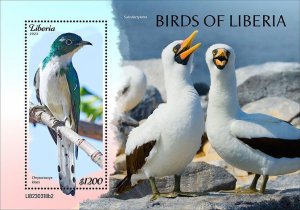 LIBERIA- 2023 - Birds of Liberia - Perf Souv Sheet - Mint Never Hinged