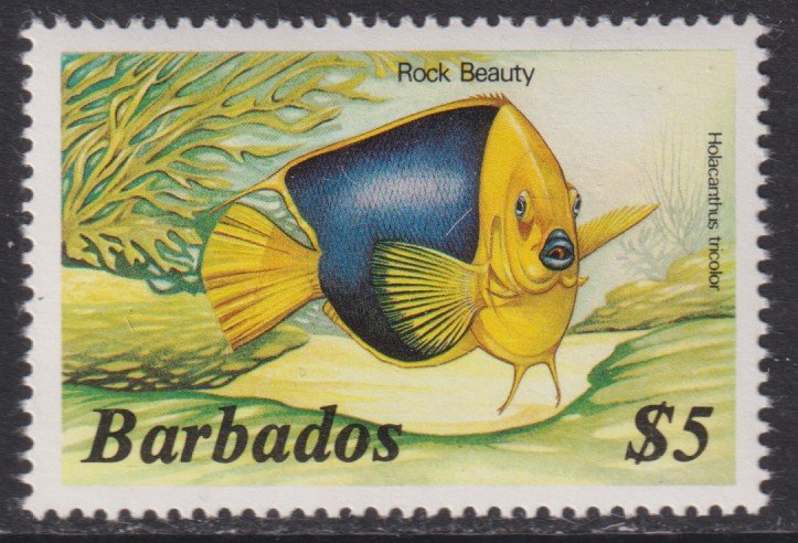 1985 Barbados Rock Beauty Fish $5.00 issue MNH Sc# 658 CV $10.50