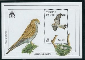 Turks and Caicos 1053 MNH 1993 American Kestrel (ak5499)