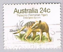 Australia 788 Used Tasmanian Tiger 1981 (BP55507)