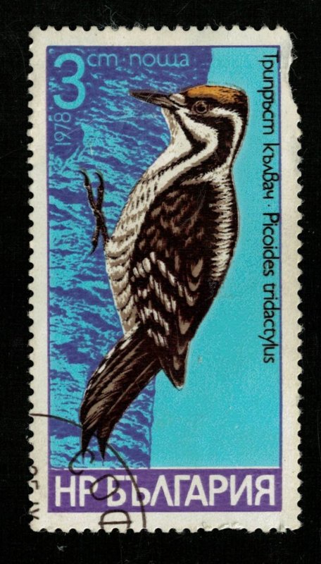 1978 Bird Bulgaria 3ct (TS-663)