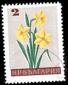 Used Box World Wide Scan 819