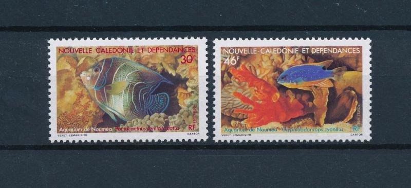 [49245] New Caledonia 1988 Marine life Fish MNH