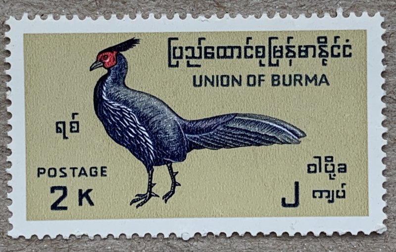 Burma 1968 Birds 2k Kalij Pheasant, MNH.  Scott 207, CV $15.00