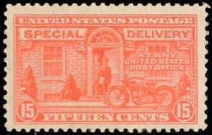 United States Scott E13 Mint never hinged.