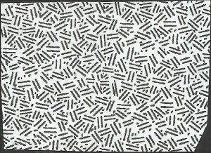 # 5299 Used SCOOBY-DOO!