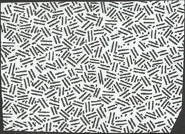 # 5299 Used SCOOBY-DOO!