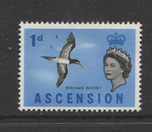 ASCENSION- Scott 75 - Bird - Brown Booby -1963 - MNH - Single 1d Stamp