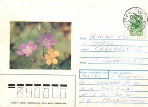 Uzbekistan 1996 Cover