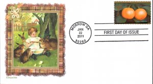 #4492 Year of the Rabbit CompuChet FDC