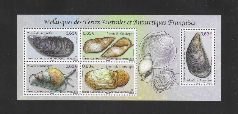MOLLUSKS - FRENCH SOUTHERN ANTARCTIC TERRITORIES #502   MNH
