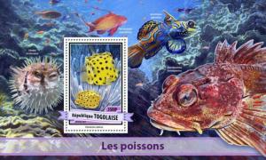 TOGO 2017 SHEET FISHES MARINE LIFE