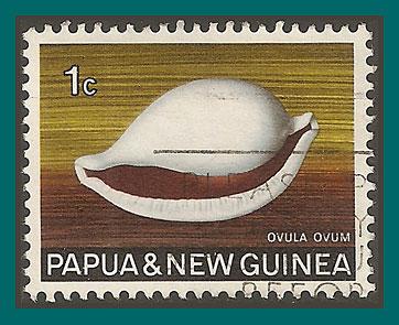 Papua New Guinea 1969 Egg Cowrie, used  265,SG137