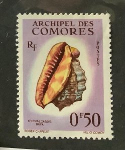 Comoro Islands 1962 Scott 48 MH - 50c, Seashells, Cypraecassis rufa