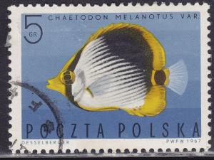 Poland 1492 Striped Butterfly Fish 1967