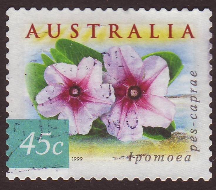 Australia 1999 Sc#1746K 45c Ipomoea, Flora USED.