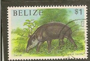Belize   Scott     967    Tapir     Used