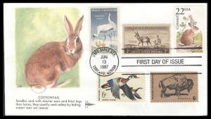 #2290 Cottontail Rabbit Combo Gillcraft FDC