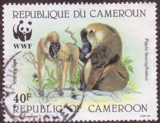 Cameroun  #844  used  (1988)  c.v. $2.00