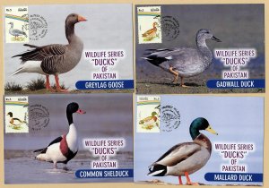 Pakistan birds 1992 maximum cards ducks and geese