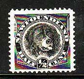 Newfoundland-Sc#58- id7-unused NH 1/2c black Dog-nicely centered-1894- rainbow