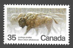 Canada 1981 - MNH - Scott #884 *