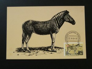 wild animal zebra maximum card Netherlands 84395