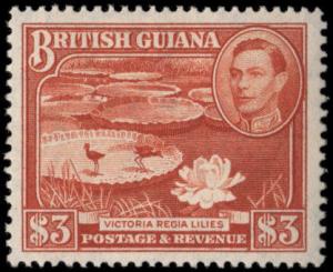 British Guiana 241a mlh