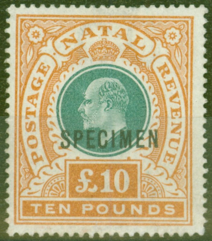 Natal 1902 £10 Green & Orange Specimen SG145s Fine & Fresh Mtd Mint