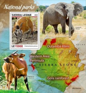 Sierra Leone - 2022 National Park Animals - Stamp Souvenir Sheet - SRL220204b